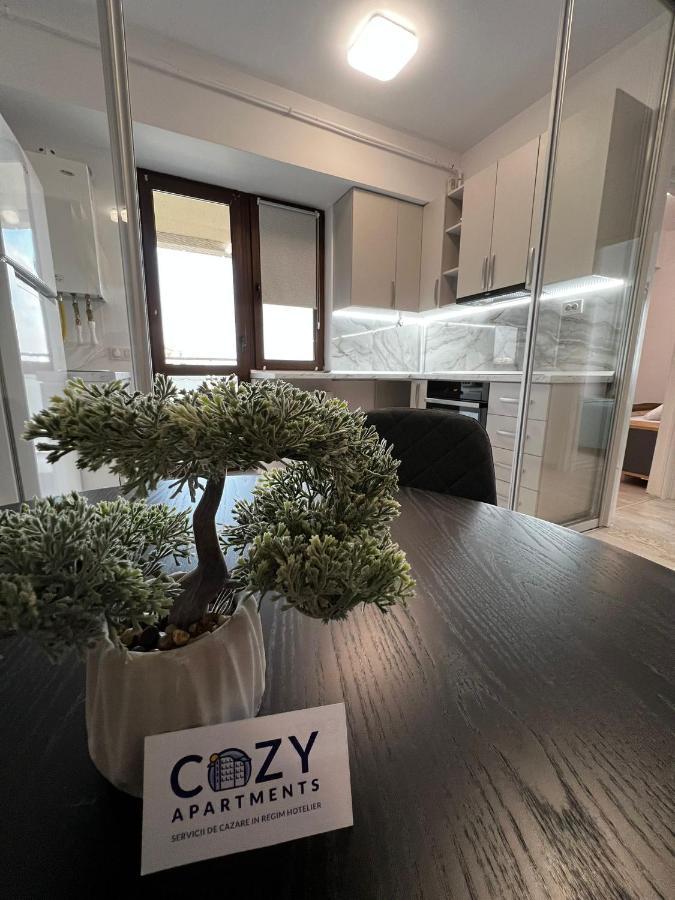 Cozy Apartments - City Center Iasi Exterior photo